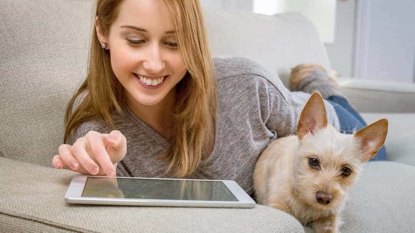 Hunde im Büro: Die Top-10 der tierliebsten Arbeitgeber in Deutschland Hunde im Büro: Die Top-10 der tierliebsten Arbeitgeber in Deutschland