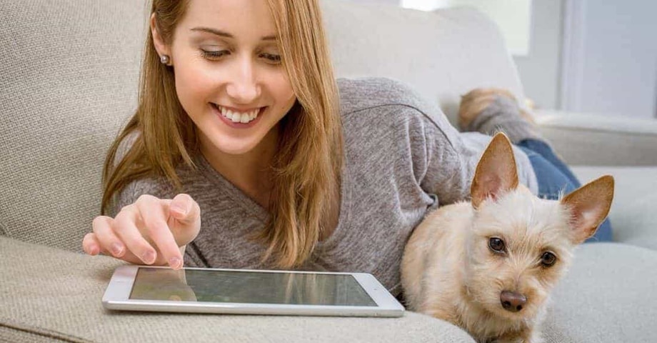 Hunde im Büro: Die Top-10 der tierliebsten Arbeitgeber in Deutschland