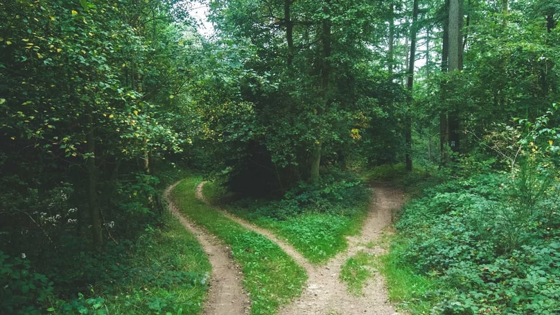 Der Beschluss aus dem Bauch: Die intuitive Entscheidung Der Beschluss aus dem Bauch: Die intuitive Entscheidung